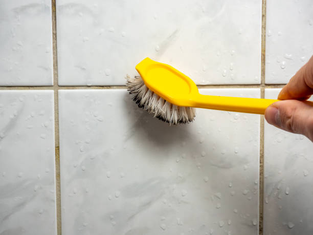 Best Black Mold Remediation in St Martins, MO