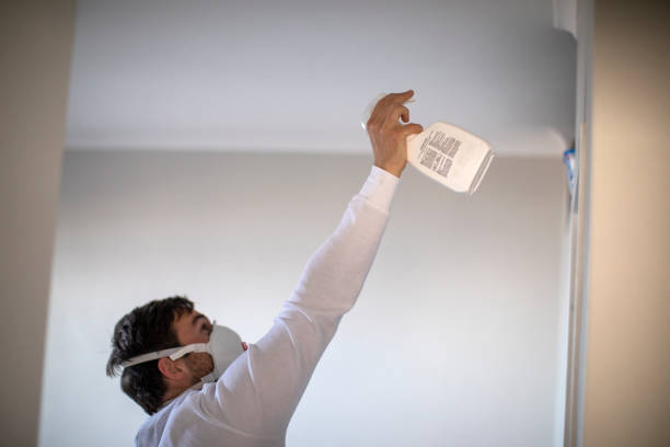 Best DIY Mold Remediation Support Services in St Martins, MO